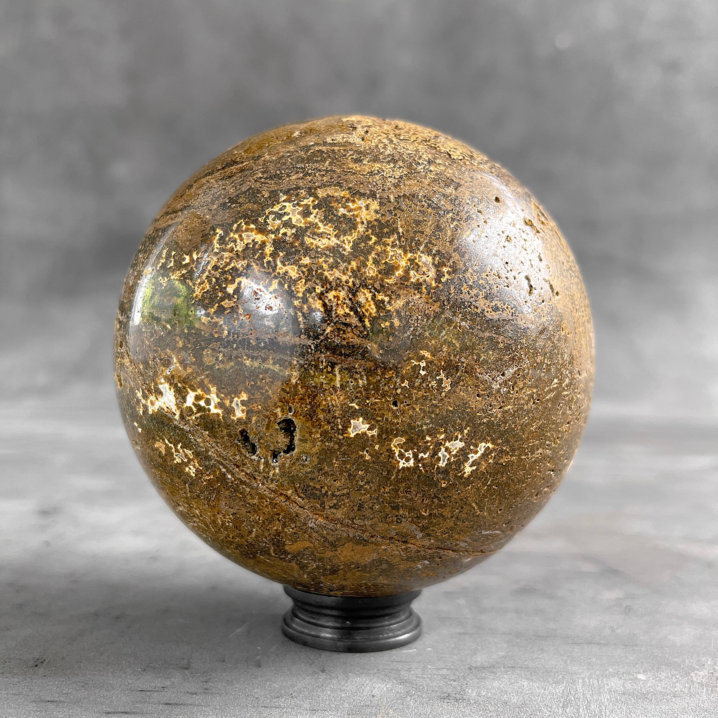 Petrified Palm Root Sphere on Custom Stand – Fossil Stone Decor, Earthy Crystal Ball, Natural Home Accent - PS 546