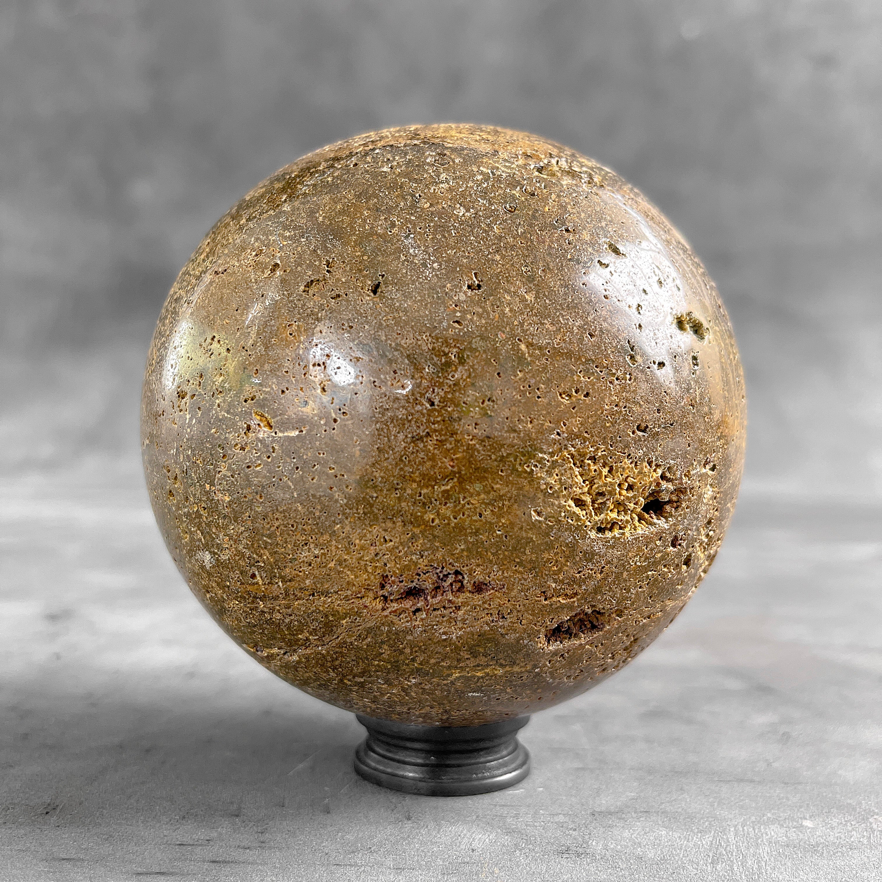 Beautiful Petrified Palm Root Sphere on a Custom Stand PS 546