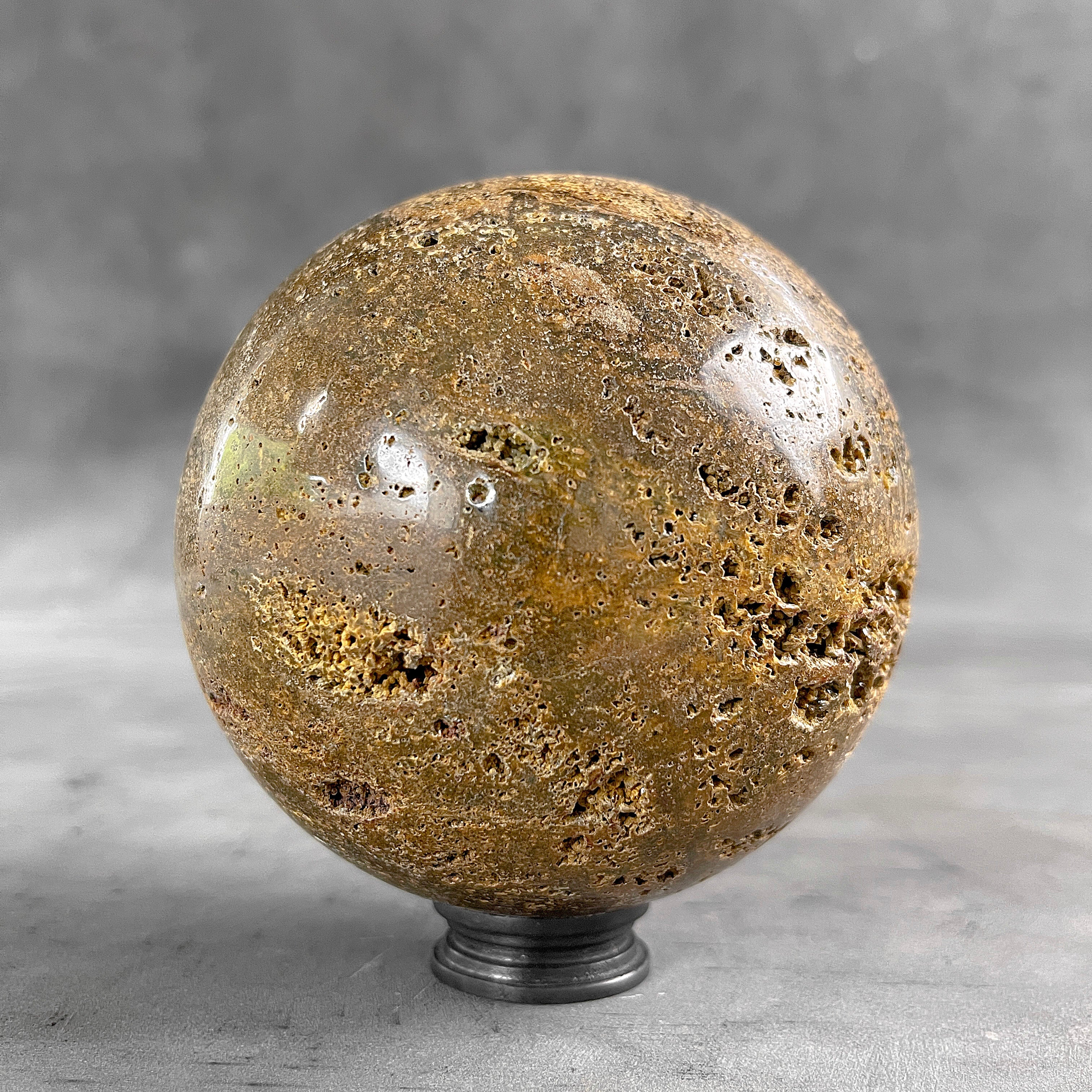 Petrified Palm Root Sphere on Custom Stand – Fossil Stone Decor, Earthy Crystal Ball, Natural Home Accent - PS 546