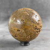 Beautiful Petrified Palm Root Sphere on a Custom Stand PS 546