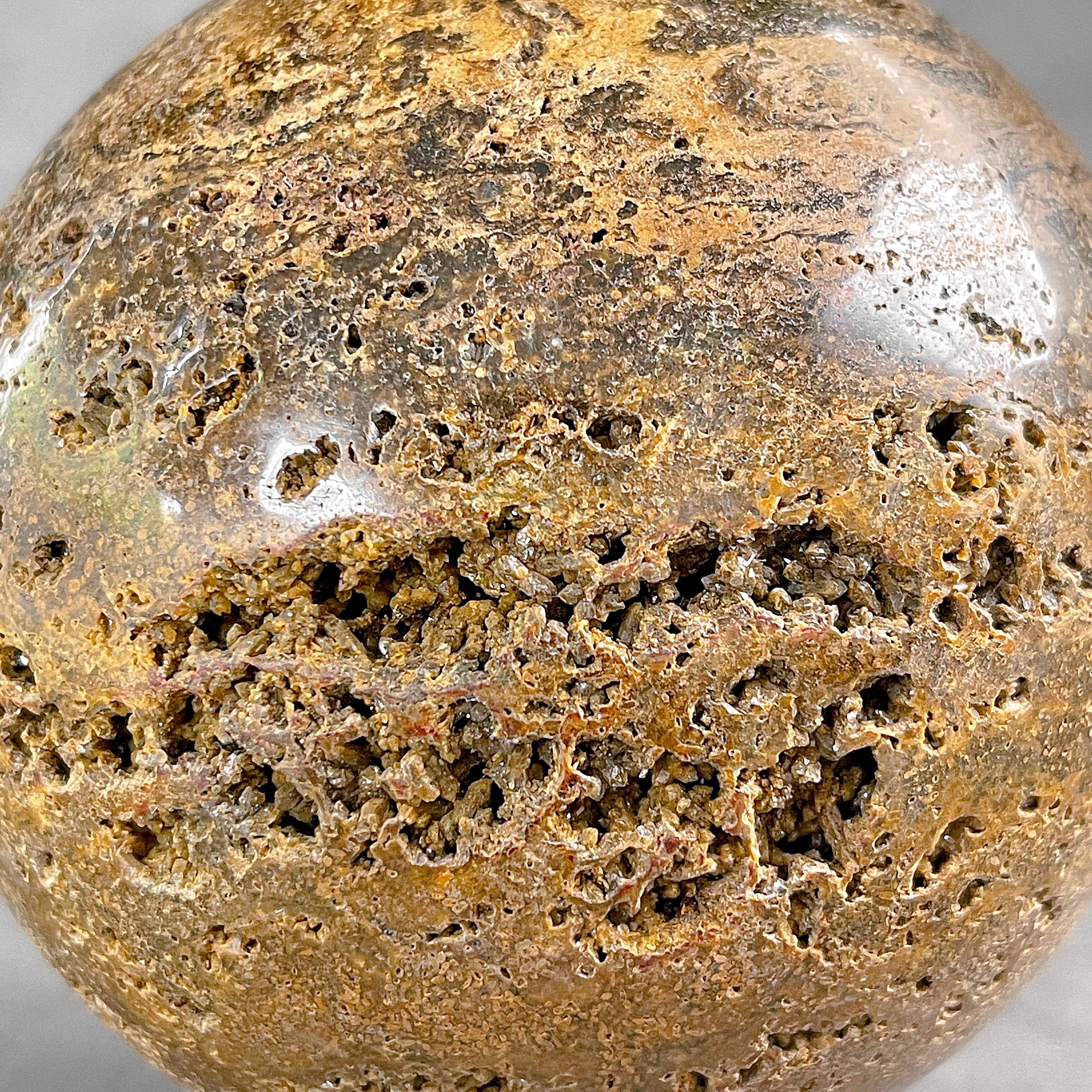 Petrified Palm Root Sphere on Custom Stand – Fossil Stone Decor, Earthy Crystal Ball, Natural Home Accent - PS 546