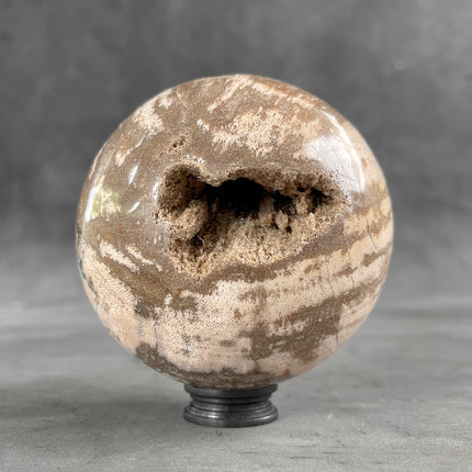 Beautiful Petrified Palm Root Sphere on a Custom Stand PS 548