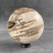 Beautiful Petrified Palm Root Sphere on a Custom Stand PS 548