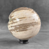 Beautiful Petrified Palm Root Sphere on a Custom Stand PS 548