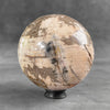 Beautiful Petrified Palm Root Sphere on a Custom Stand PS 548