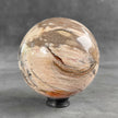 Beautiful Petrified Palm Root Sphere on a Custom Stand PS 548