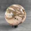 Beautiful Petrified Palm Root Sphere on a Custom Stand PS 548