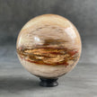 Wonderful Petrified Wood Sphere on a Custom Stand PS/536