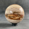 Wonderful Petrified Wood Sphere on a Custom Stand PS/536