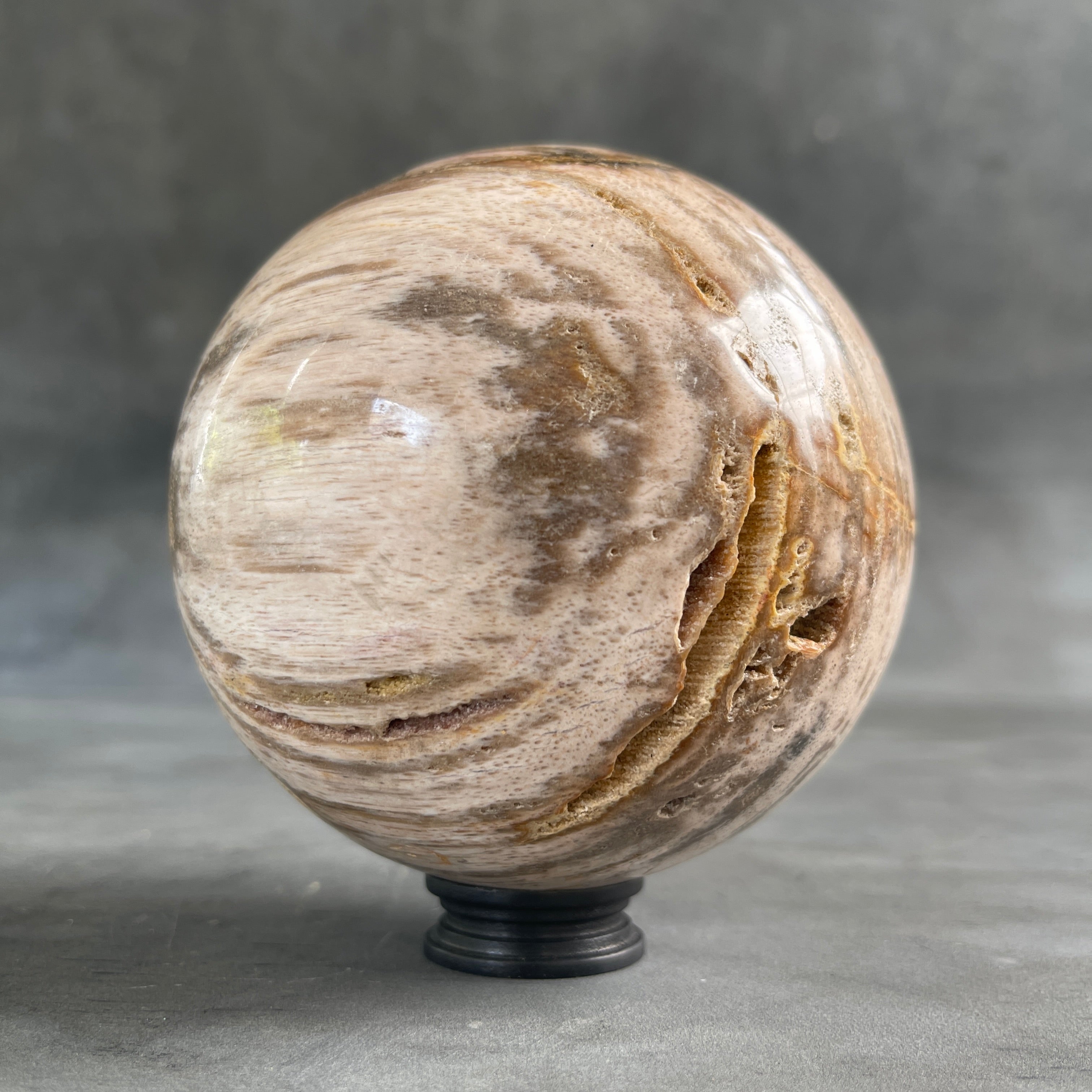 Wonderful Petrified Wood Sphere on a Custom Stand PS/536