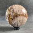 Wonderful Petrified Wood Sphere on a Custom Stand PS/536