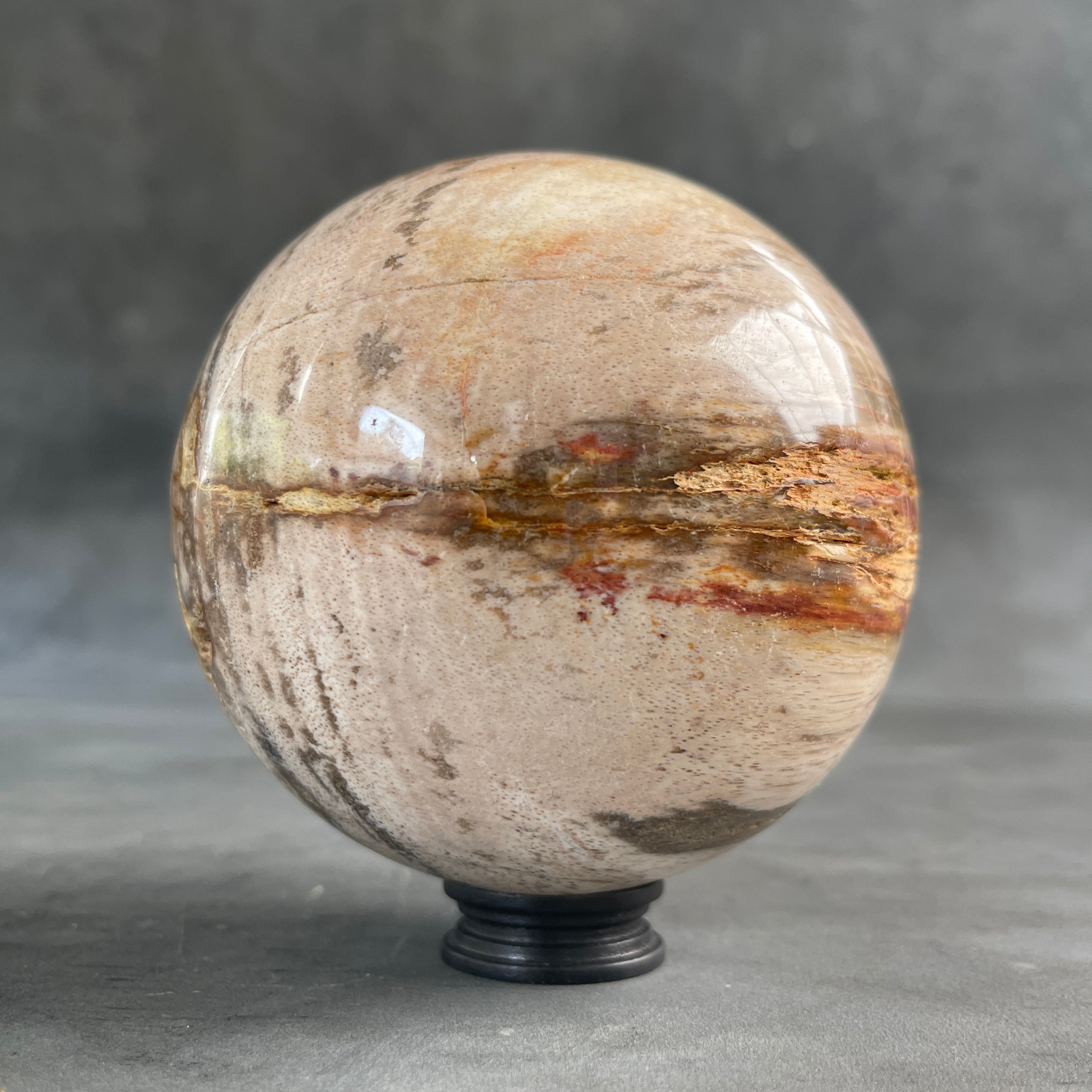 Wonderful Petrified Wood Sphere on a Custom Stand PS/536