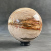 Wonderful Petrified Wood Sphere on a Custom Stand PS/536