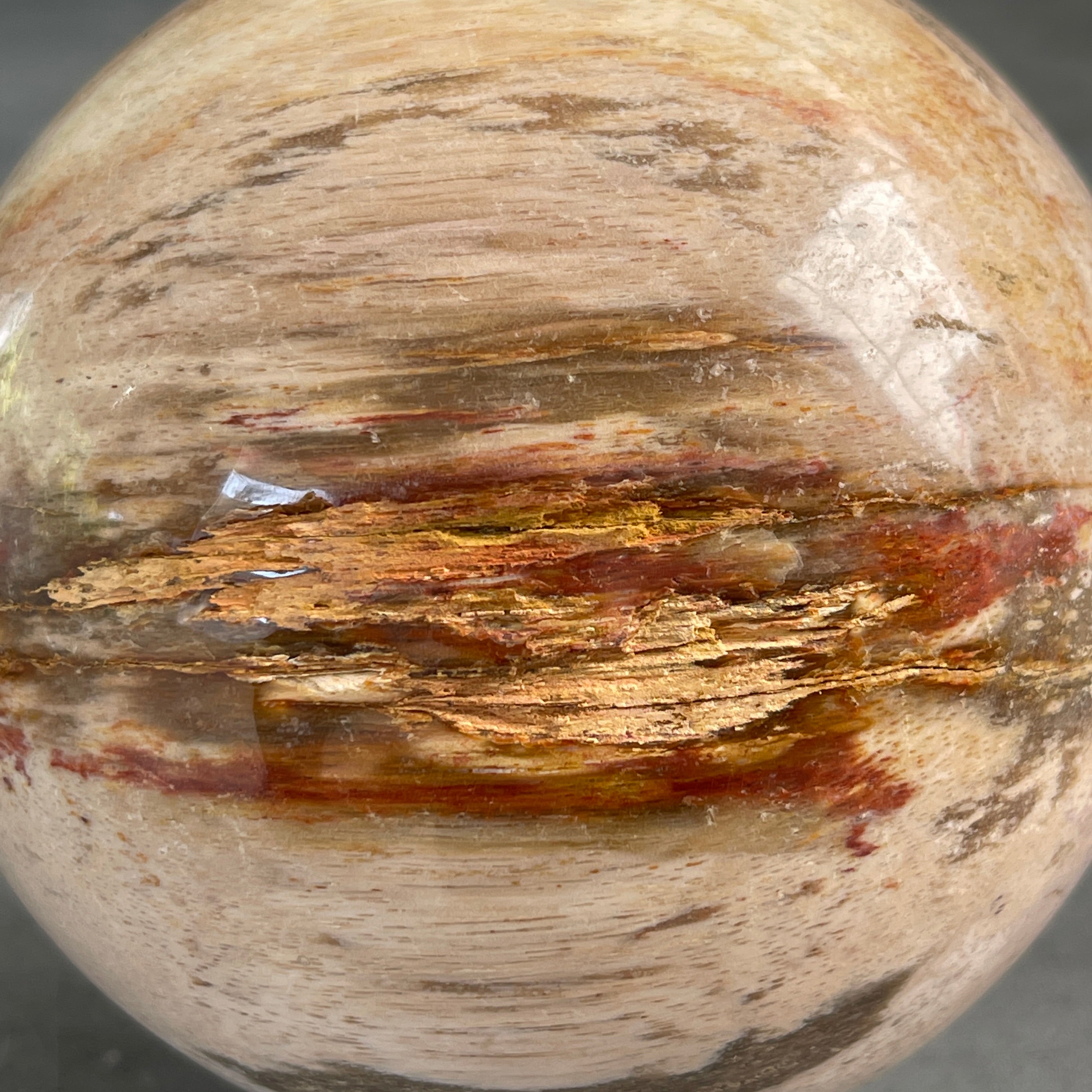 Wonderful Petrified Wood Sphere on a Custom Stand PS/536