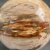 Wonderful Petrified Wood Sphere on a Custom Stand PS/536