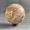 Wonderful Petrified Wood Sphere on a Custom Stand PS 583