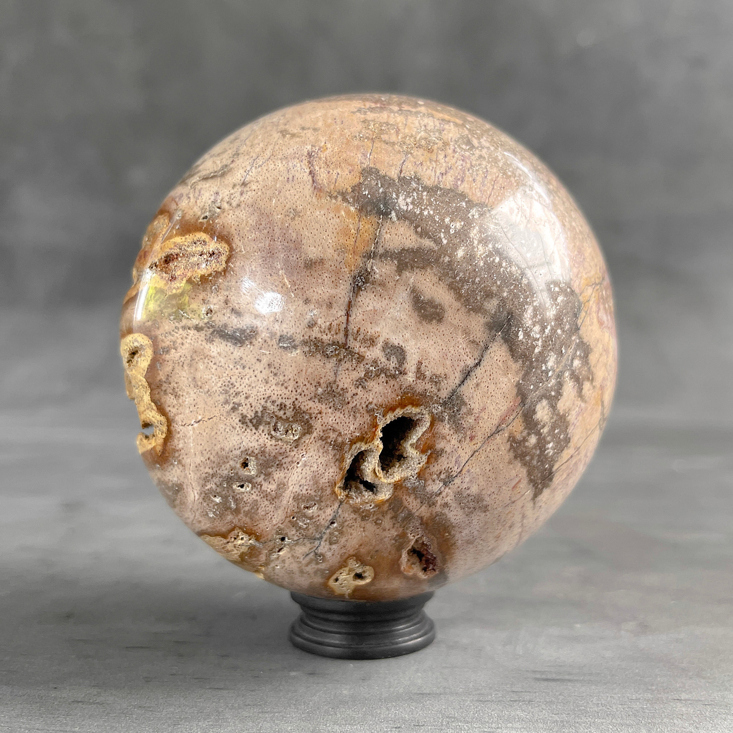 Wonderful Petrified Wood Sphere on a Custom Stand PS 583