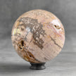 Wonderful Petrified Wood Sphere on a Custom Stand PS 583