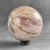 Wonderful Petrified Wood Sphere on a Custom Stand PS 583