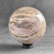 Wonderful Petrified Wood Sphere on a Custom Stand PS 583