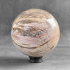 Wonderful Petrified Wood Sphere on a Custom Stand PS 583