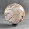 Wonderful Petrified Wood Sphere on a Custom Stand PS 583