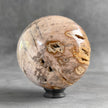 Wonderful Petrified Wood Sphere on a Custom Stand PS 583