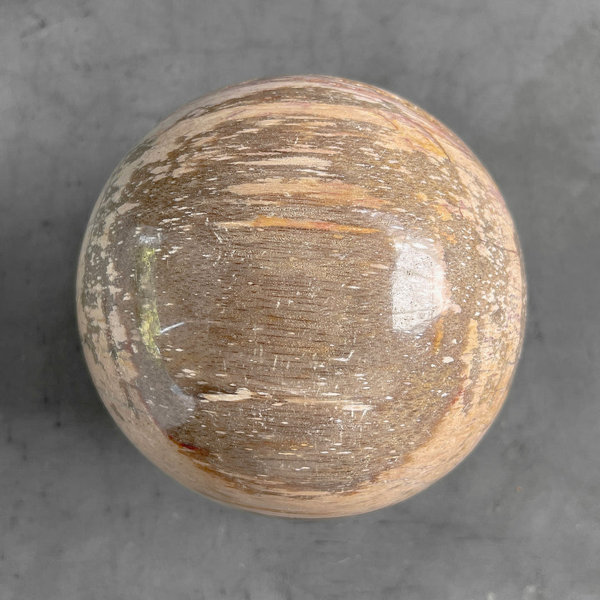 Wonderful Petrified Wood Sphere on a Custom Stand PS 583