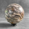 Wonderful Petrified Wood Sphere on a Custom Stand PS 588