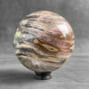 Wonderful Petrified Wood Sphere on a Custom Stand PS 588