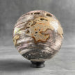 Wonderful Petrified Wood Sphere on a Custom Stand PS 588