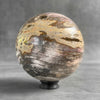 Wonderful Petrified Wood Sphere on a Custom Stand PS 588