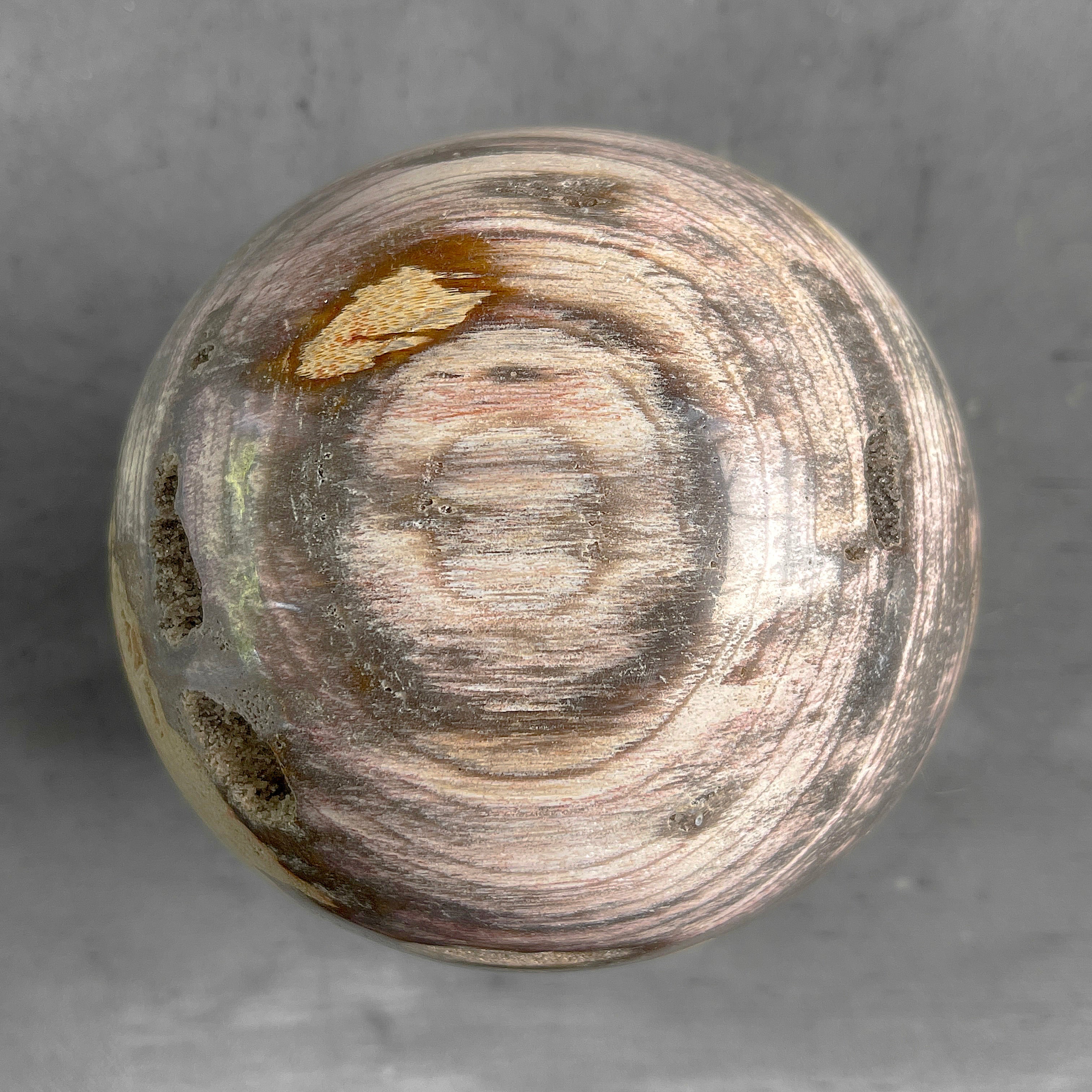 Wonderful Petrified Wood Sphere on a Custom Stand PS 588