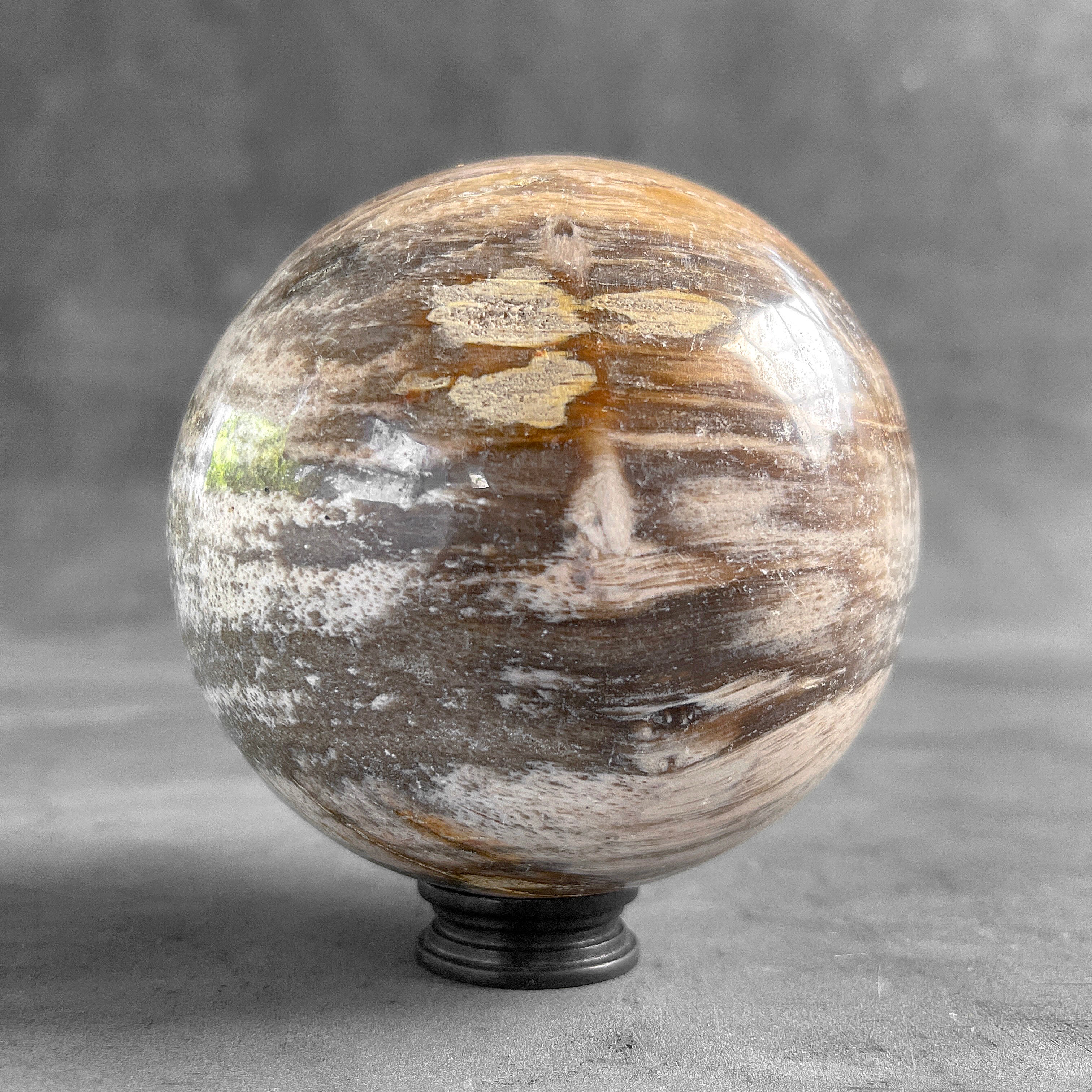 Wonderful Petrified Wood Sphere on a Custom Stand PS 577