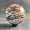 Wonderful Petrified Wood Sphere on a Custom Stand PS 577