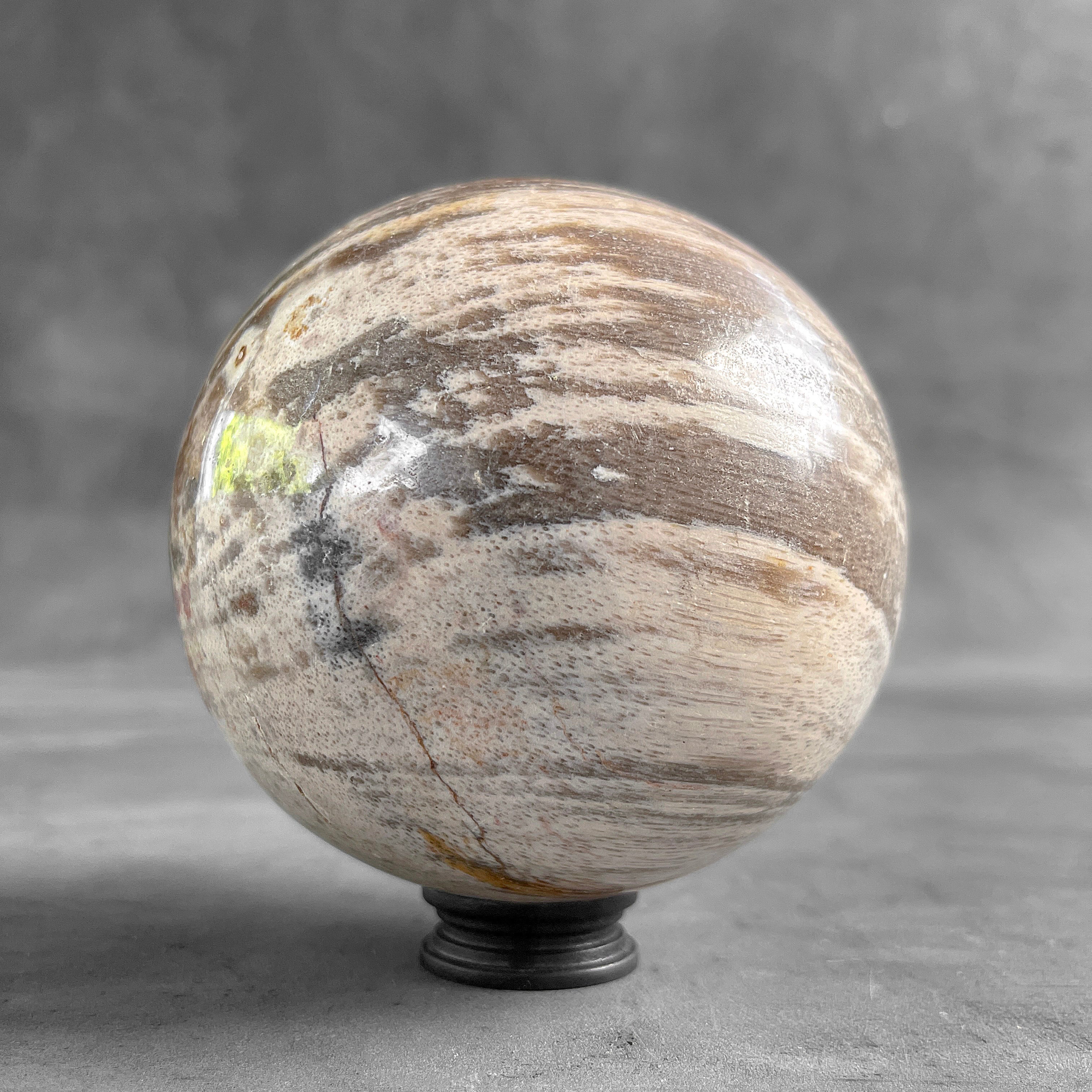 Wonderful Petrified Wood Sphere on a Custom Stand PS 577