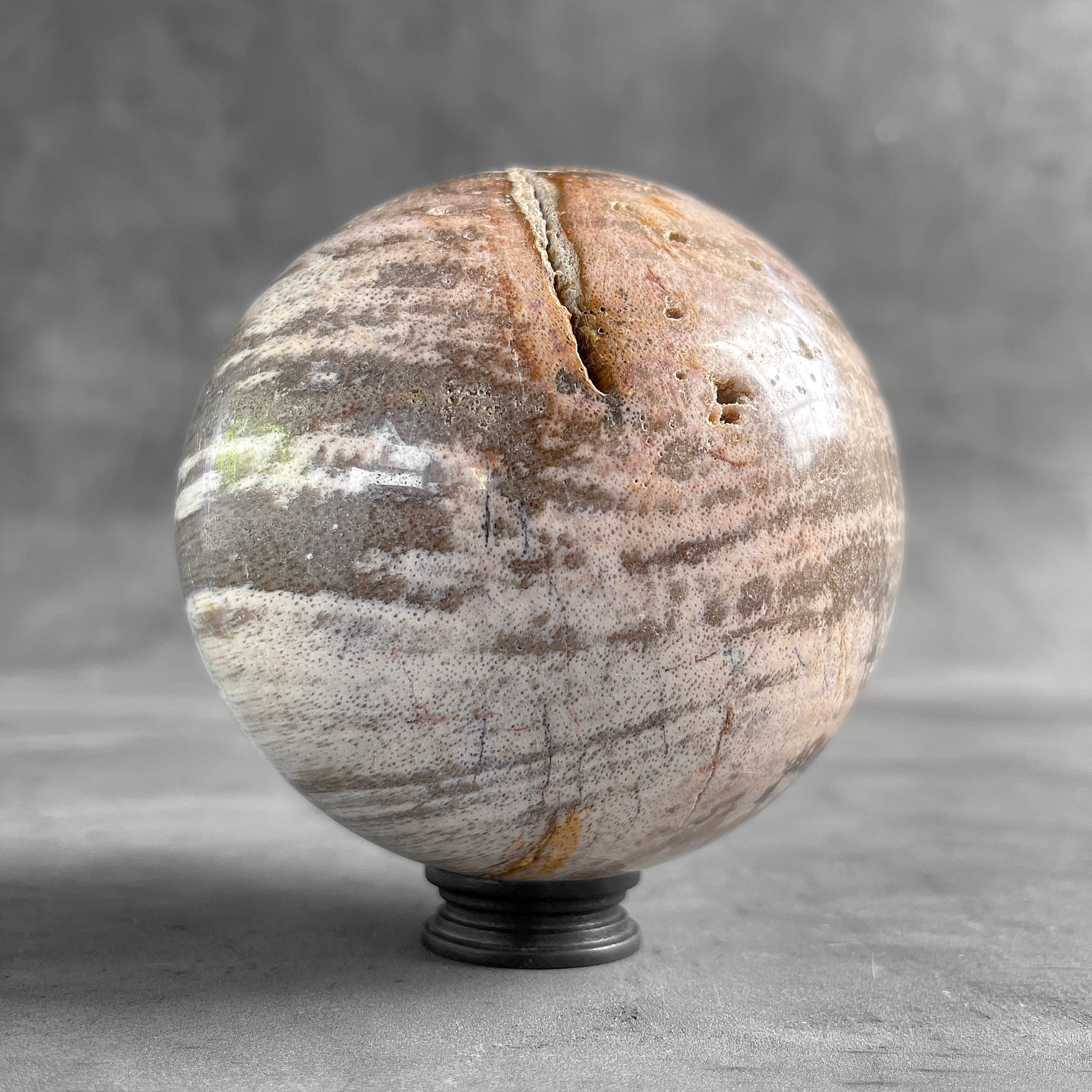 Wonderful Petrified Wood Sphere on a Custom Stand PS 577