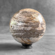 Wonderful Petrified Wood Sphere on a Custom Stand PS 577