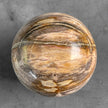 Wonderful Petrified Wood Sphere on a Custom Stand PS 577