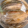 Wonderful Petrified Wood Sphere on a Custom Stand PS 577