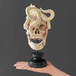 Tarmarind Wooden Skull With Octopus Carving Antler - 7O/108