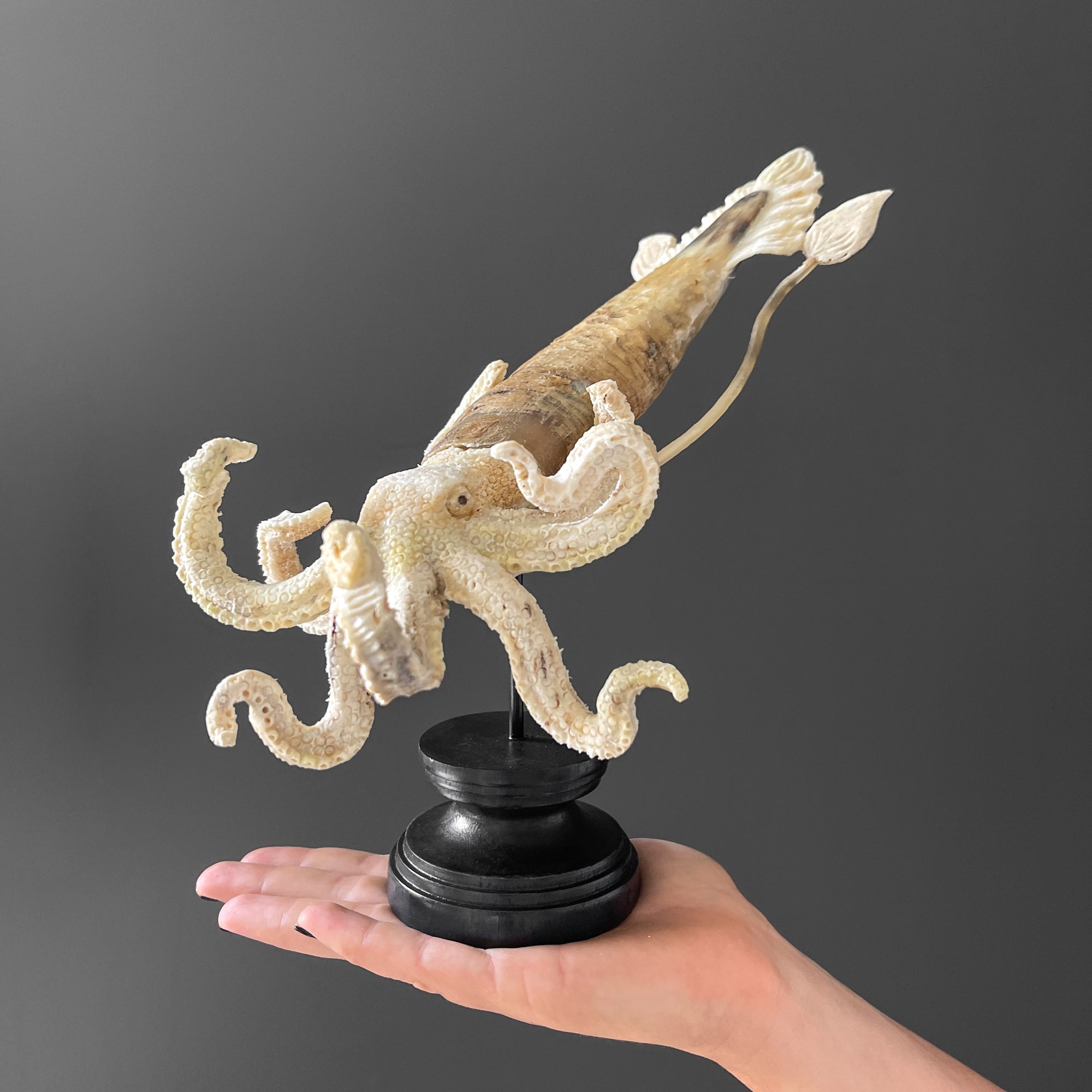 A Stunning Hand Carved Octopus With Horn on a Stand - 7M/109