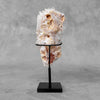 Beautiful Quartz Crystal cluster on a custom stand CC/510