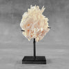 Beautiful Quartz Crystal cluster on a custom stand CC/531