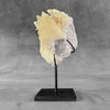 Beautiful Quartz Crystal cluster on a custom stand CC/536