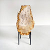 Beautiful Slice of Petrified Wood on stand PetW/144