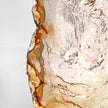 Beautiful Slice of Petrified Wood on stand PetW/144