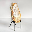 Beautiful Slice of Petrified Wood on stand PetW/144