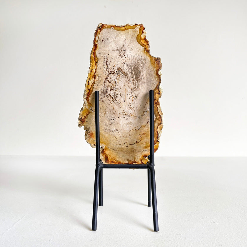 Beautiful Slice of Petrified Wood on stand PetW/144