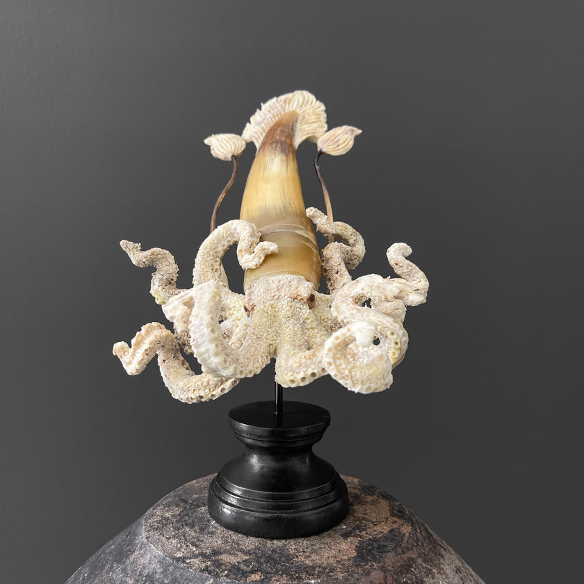 A Stunning Hand Carved Octopus With Horn on a Stand - 7S/109